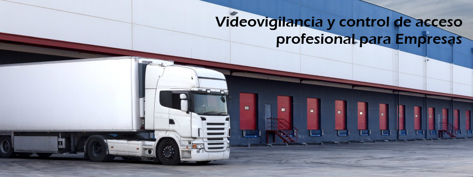 Seguridad para Empresas